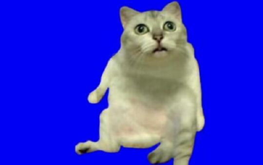 ֵ֪R(sh)ʲô?ݎr~ҵһ