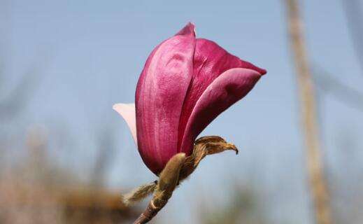 ӢQȾҕܓp,ӢȺwָʲô