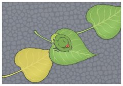 晚安最吸引人的句子,每日積累優美句子