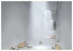 Swl(wi),ʲô˼